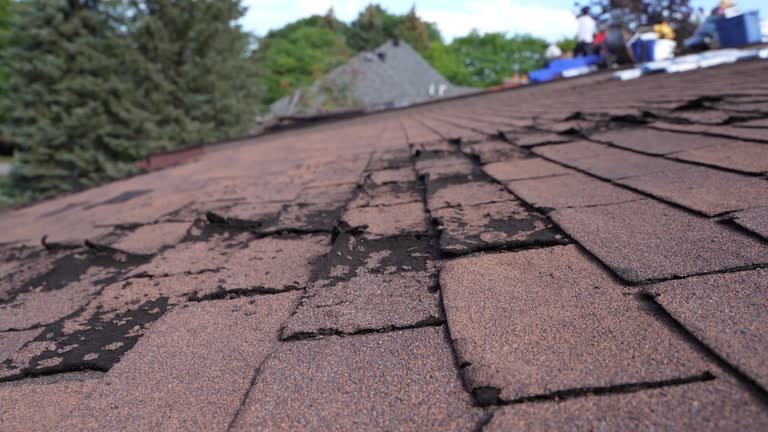Best Storm Damage Roof Repair  in Oregon, OH