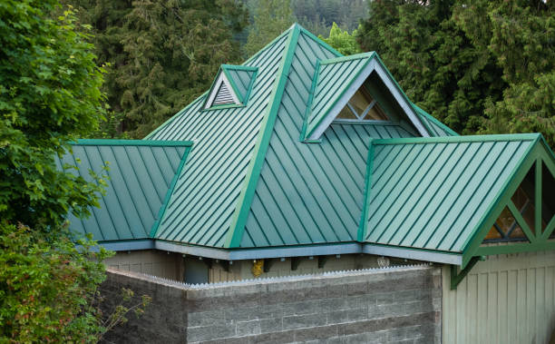 Best Skylight Installation and Repair  in Oregon, OH