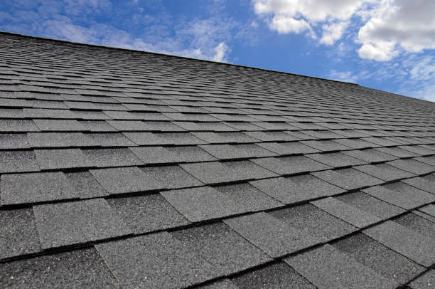 Best Storm Damage Roof Repair  in Oregon, OH